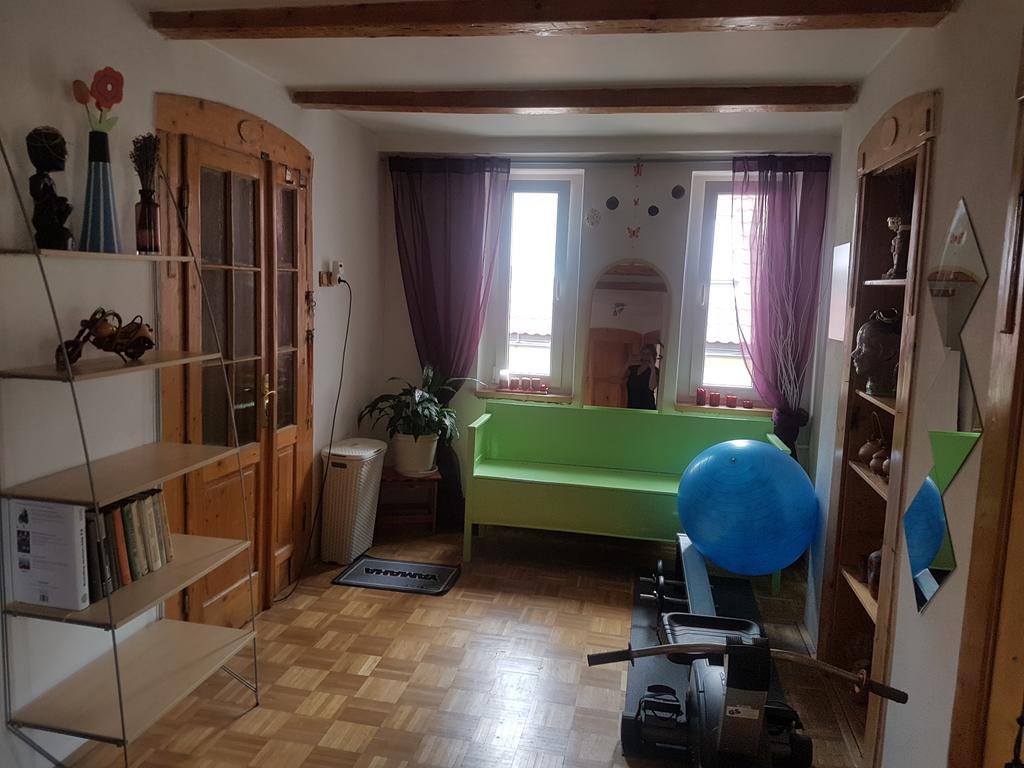 Apartman Pod Svatou Horou Příbram Exterior foto